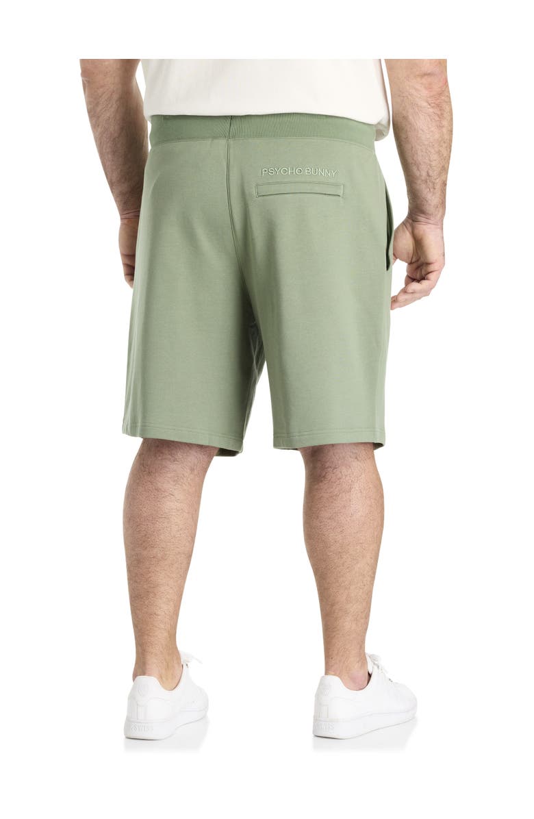 Psycho Bunny Big & Tall Baxter Embroidered French Terry Shorts, Alternate, color, Sea Spray
