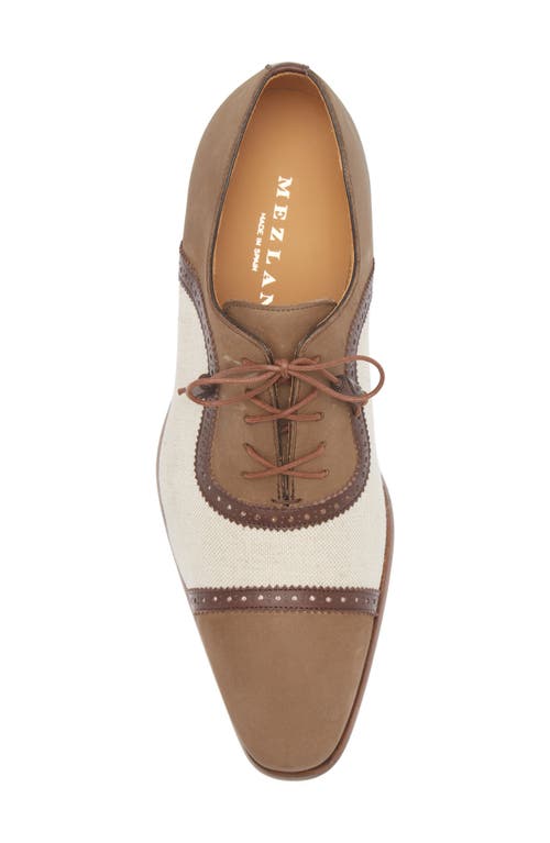 Mezlan Ayna Plain Toe Oxford In Olive Multi