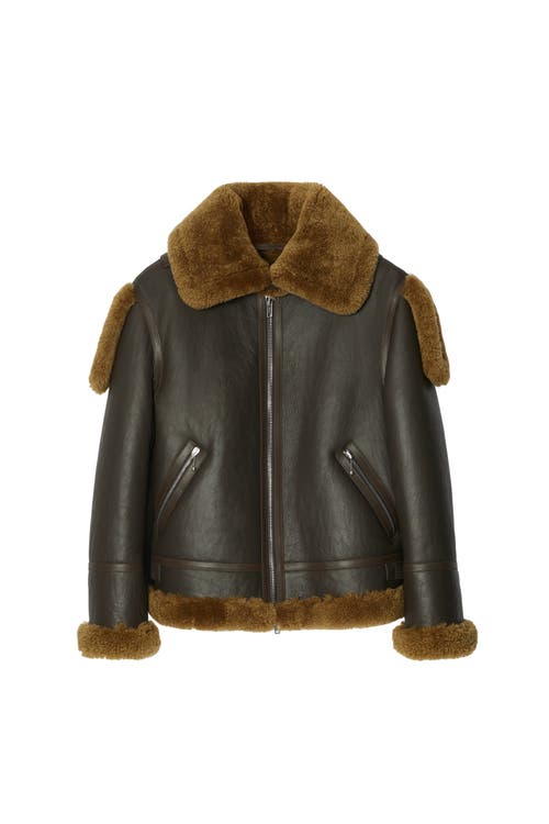 Burberry Shearling Leather Aviator Jacket In Brown