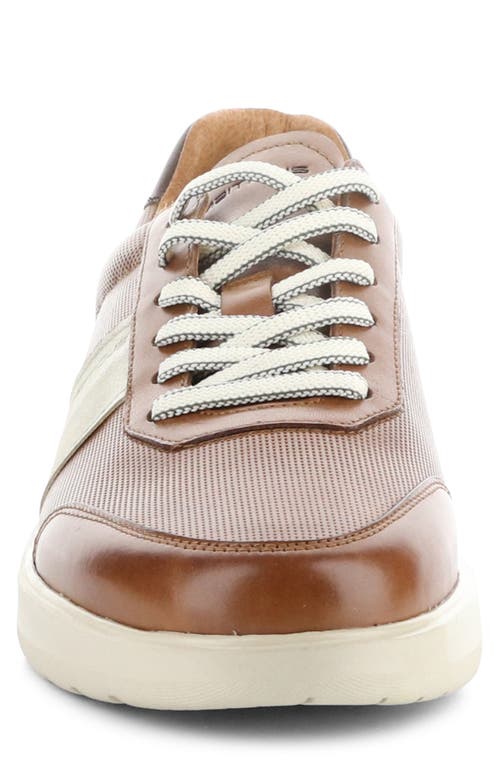 AMBITIOUS AMBITIOUS 12863 LOW TOP SNEAKER
