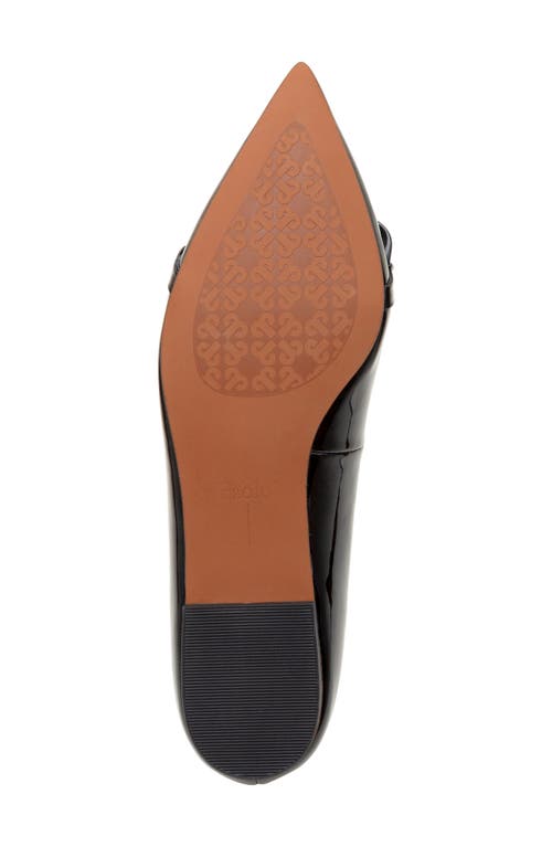 Linea Paolo Nora Pointed Toe Flat In Black