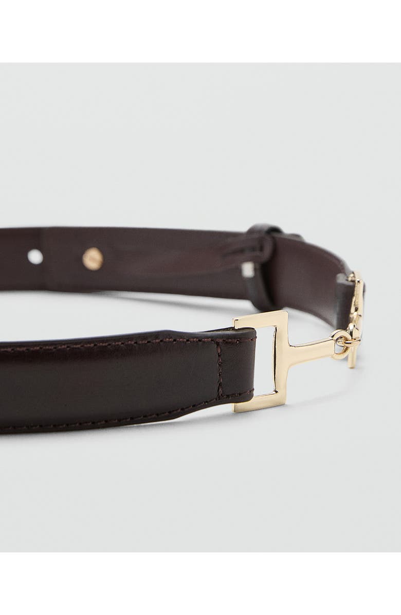MANGO Hardware Leather Belt, Alternate, color, Chocolate