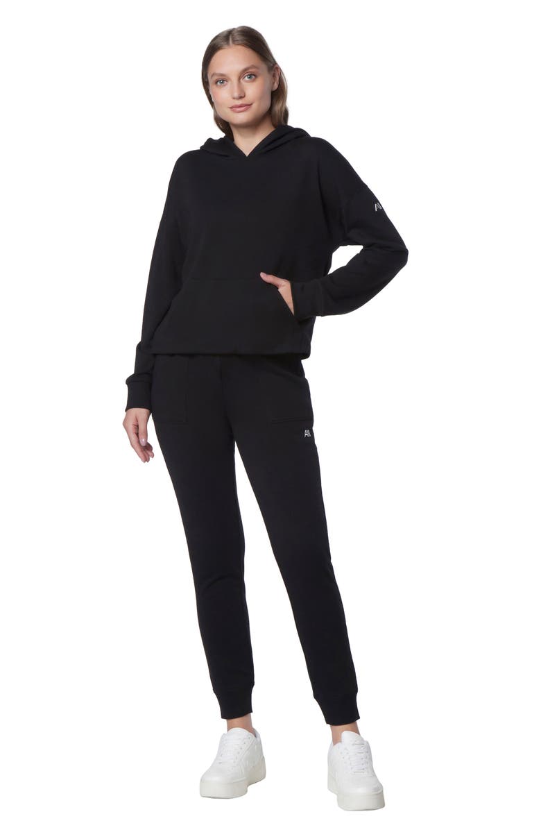 Andrew Marc Sport Long Sleeve Drop Shoulder Hoodie, Alternate, color,