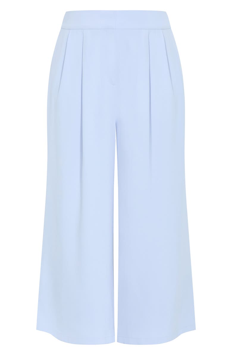 City Chic Holly Wide Leg Pants, Alternate, color, Sky Blue