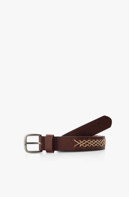 Scalpers Belga  Belt In Brown