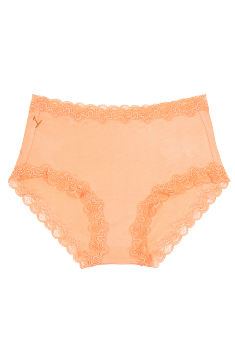 Soft Silk Briefs