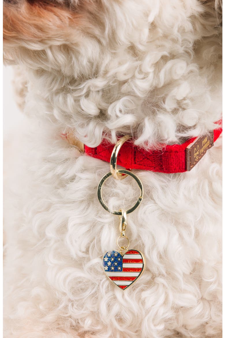 American Heart Pet Collar Charm, Alternate, color, American Heart