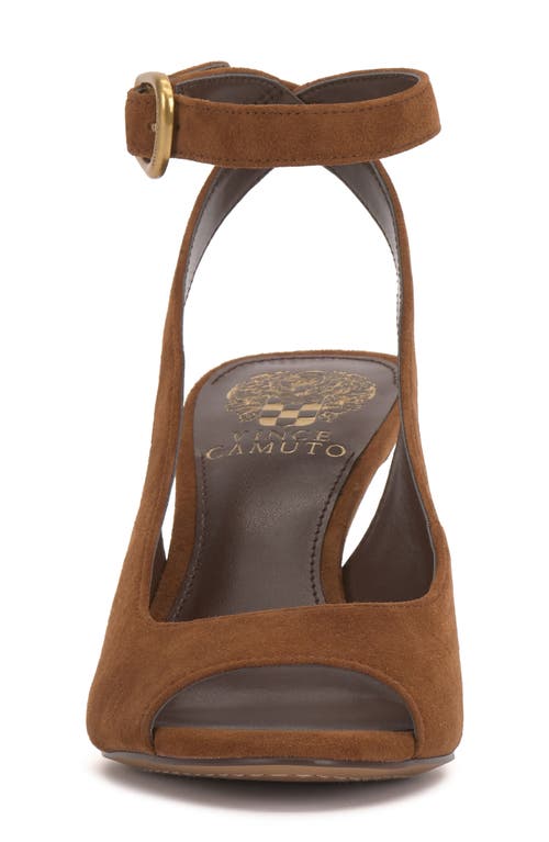 Vince Camuto Pavles Ankle Strap Sandal In Brown