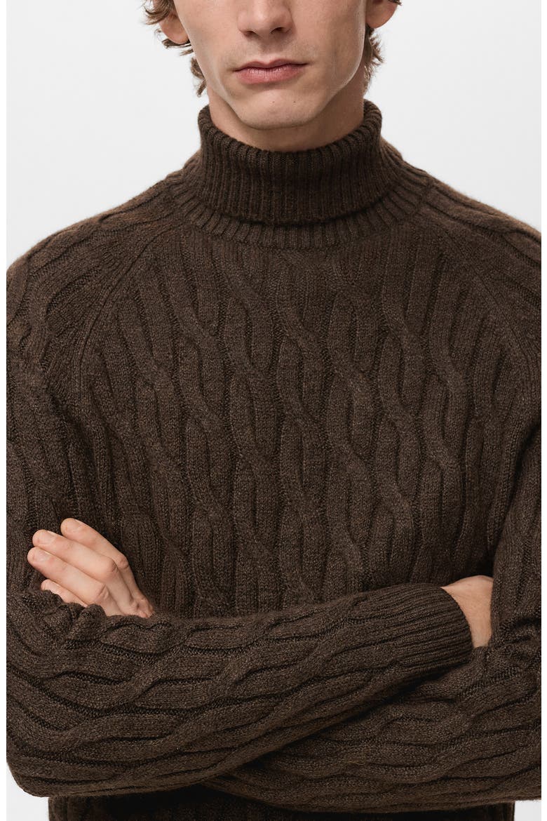 Cable Stitch Turtleneck Sweater, Alternate, color, BROWN