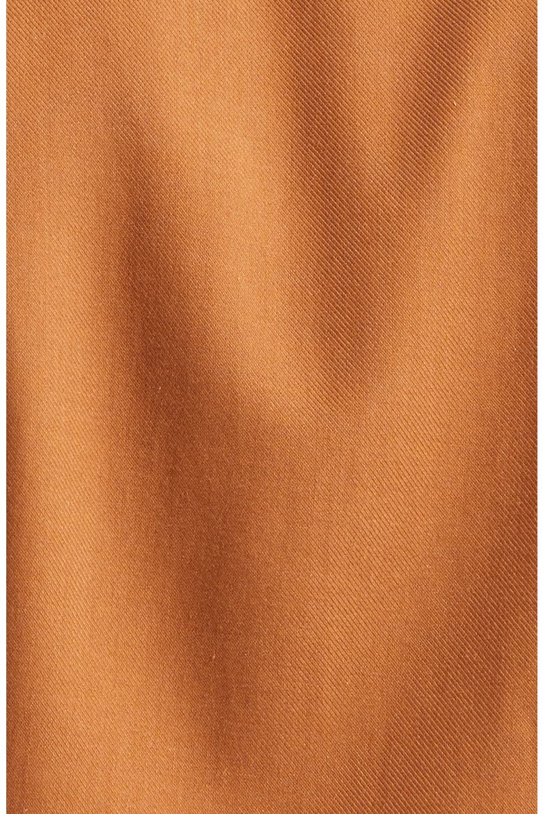 Cashco Cotton & Cashmere Button-Up Shirt, Alternate, color, VICUNA