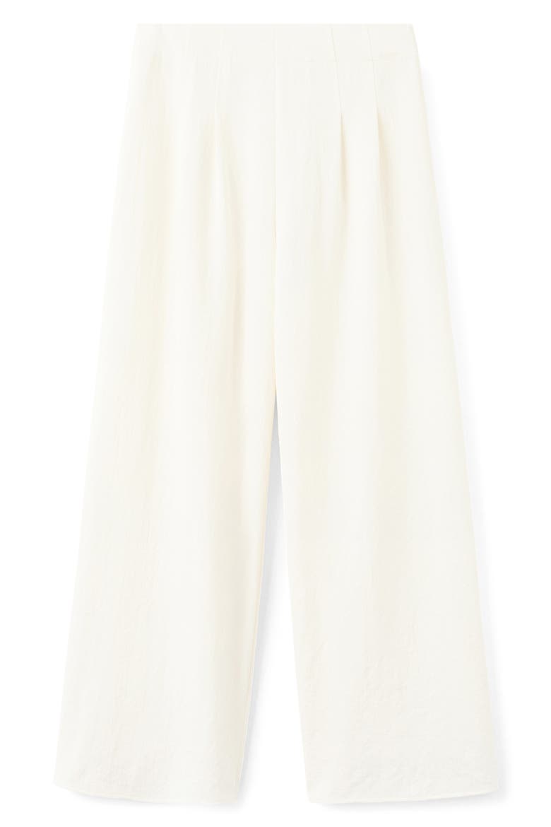 Pleated Straight Leg Pants, Alternate, color, ECRU