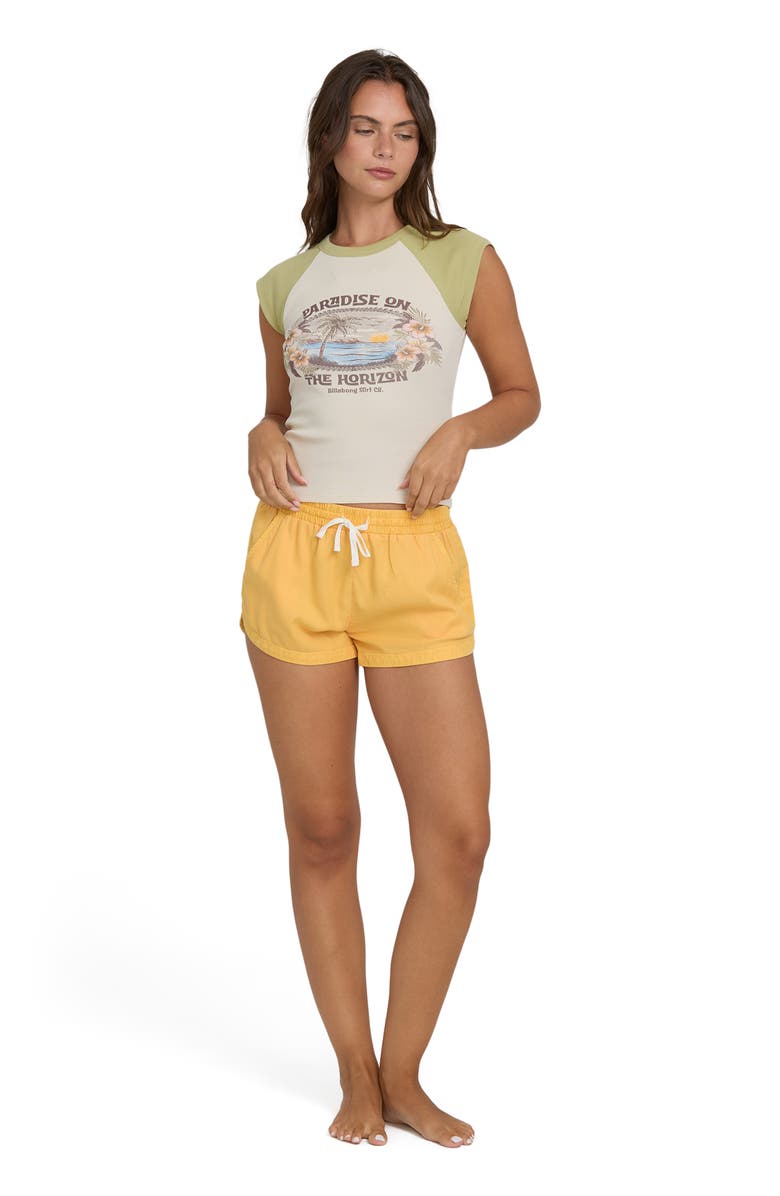 Billabong Horizon Rib Knit Raglan Sleeve Stretch Cotton T-Shirt, Alternate, color, Cactus