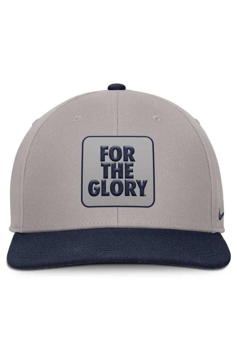 Nike Men's Nike Gray/Navy Penn State Nittany Lions 2025 Sideline Campus Pro Local Snapback Hat, Alternate, color, Gray