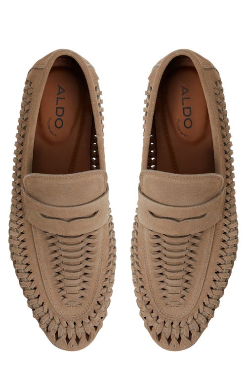 ALDO ALDO DANILO WOVEN PENNY LOAFER
