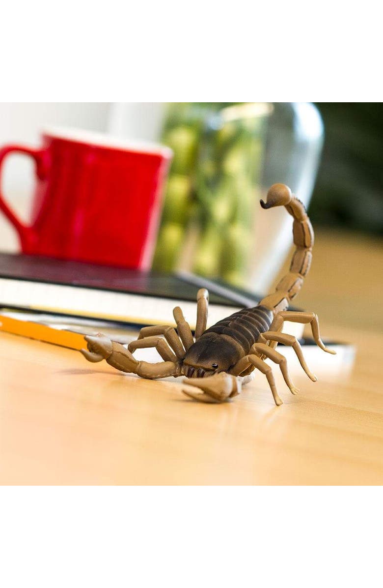 Safari Ltd. Scorpion Toy, Alternate, color, NO COLOR
