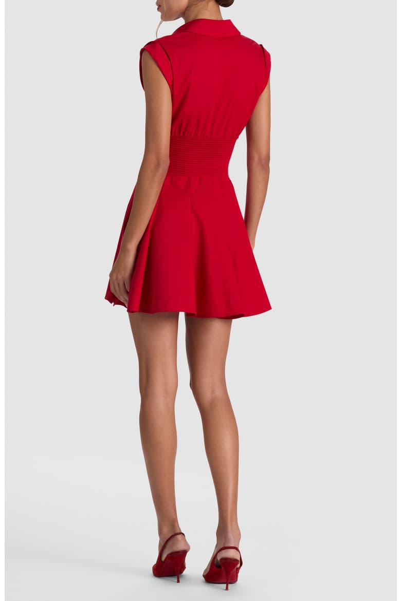 Kim Paneled Corset Fit and Flare Mini Shirtdress, Alternate, color, HIBISCUS