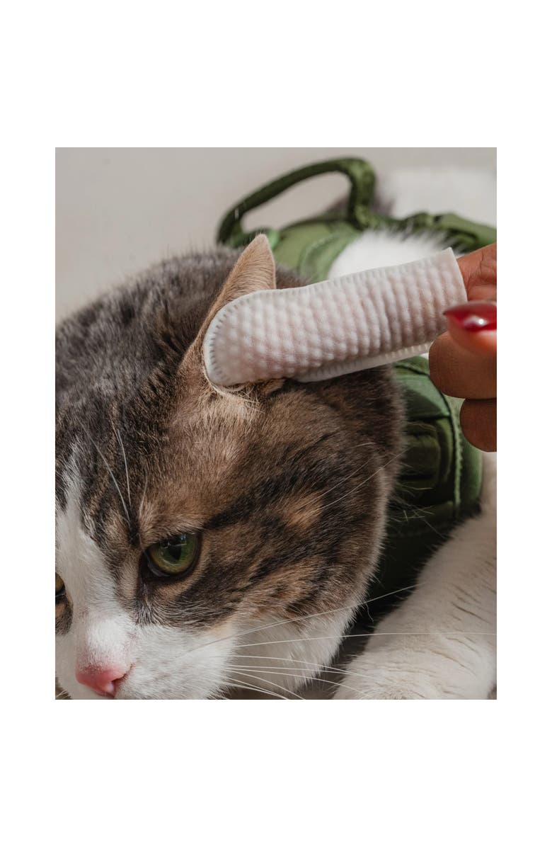 Dexypaws Eyes, Ears and Nose Finger Cat Wipes, 100 Count, Alternate, color, Multicolored