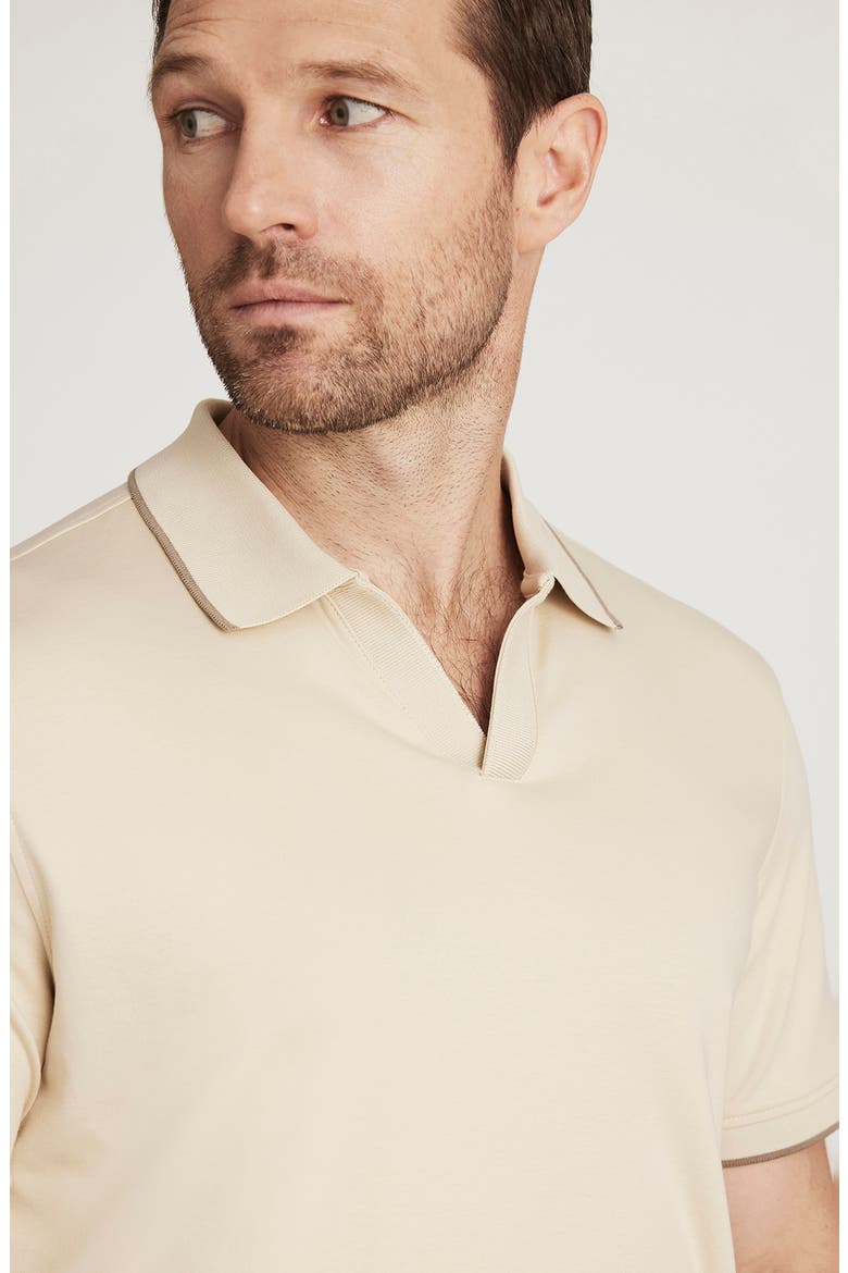Riviera Tipped Pima Cotton Polo, Alternate, color, CASTLE WALL