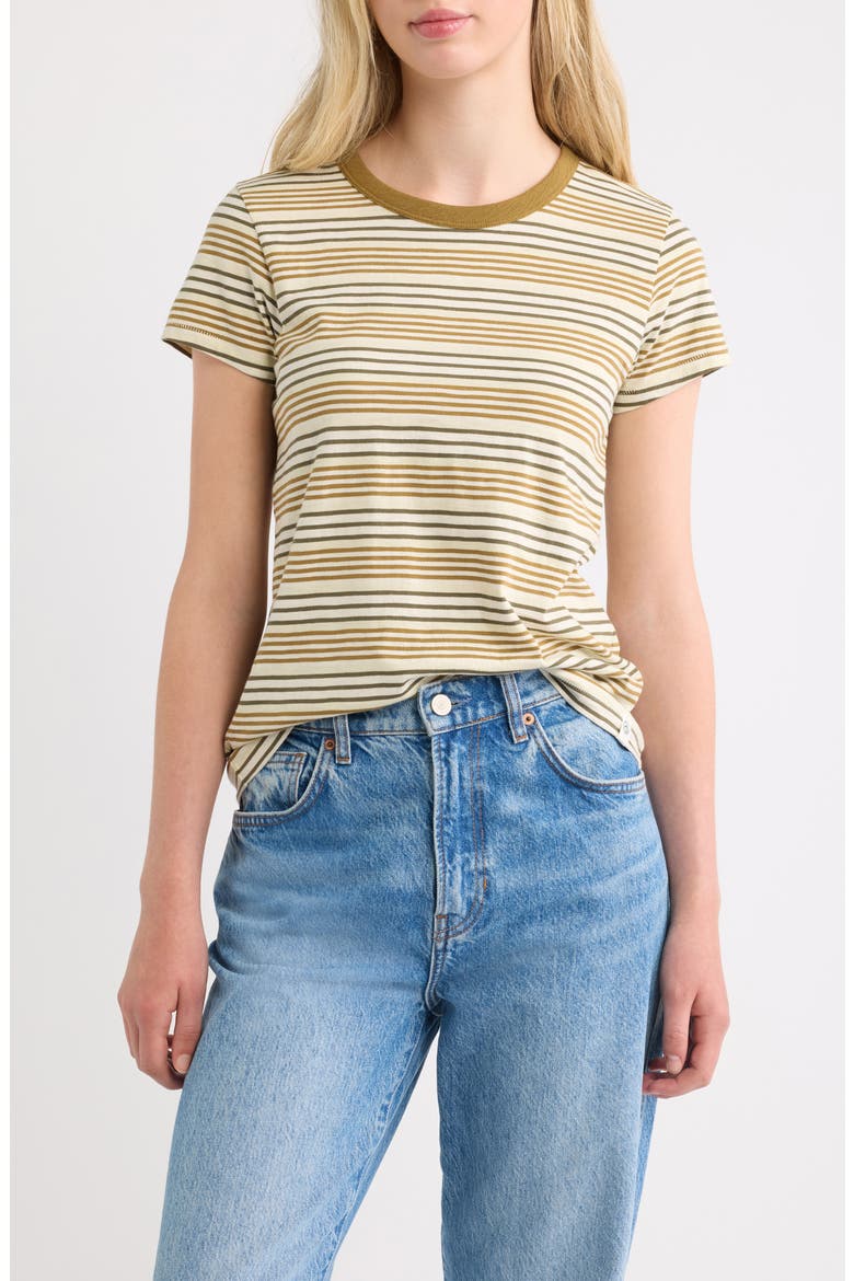 The Slub Stripe Cotton T-Shirt, Main, color, GREEN MULTI