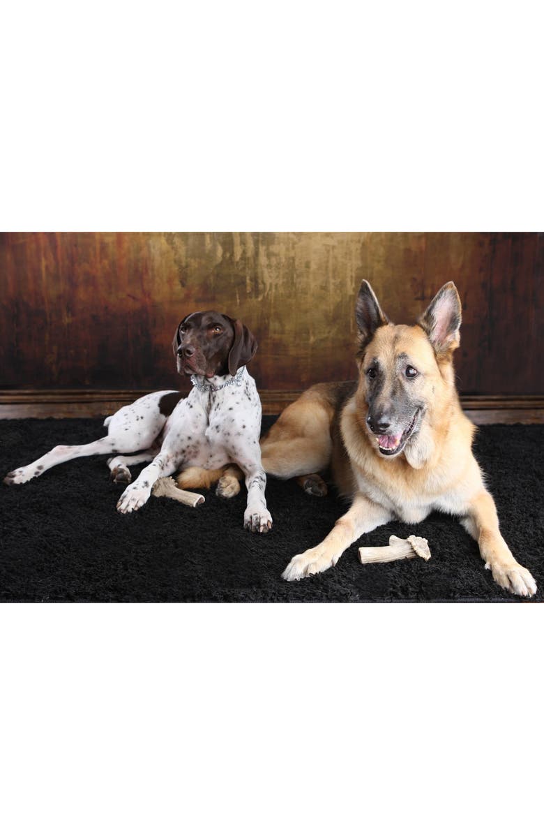 Scout & Zoe's Elk Antler, Medium, Dog Chew, 15 to 30lb Breeds, Heavy Chewers, Alternate, color, Multicolored