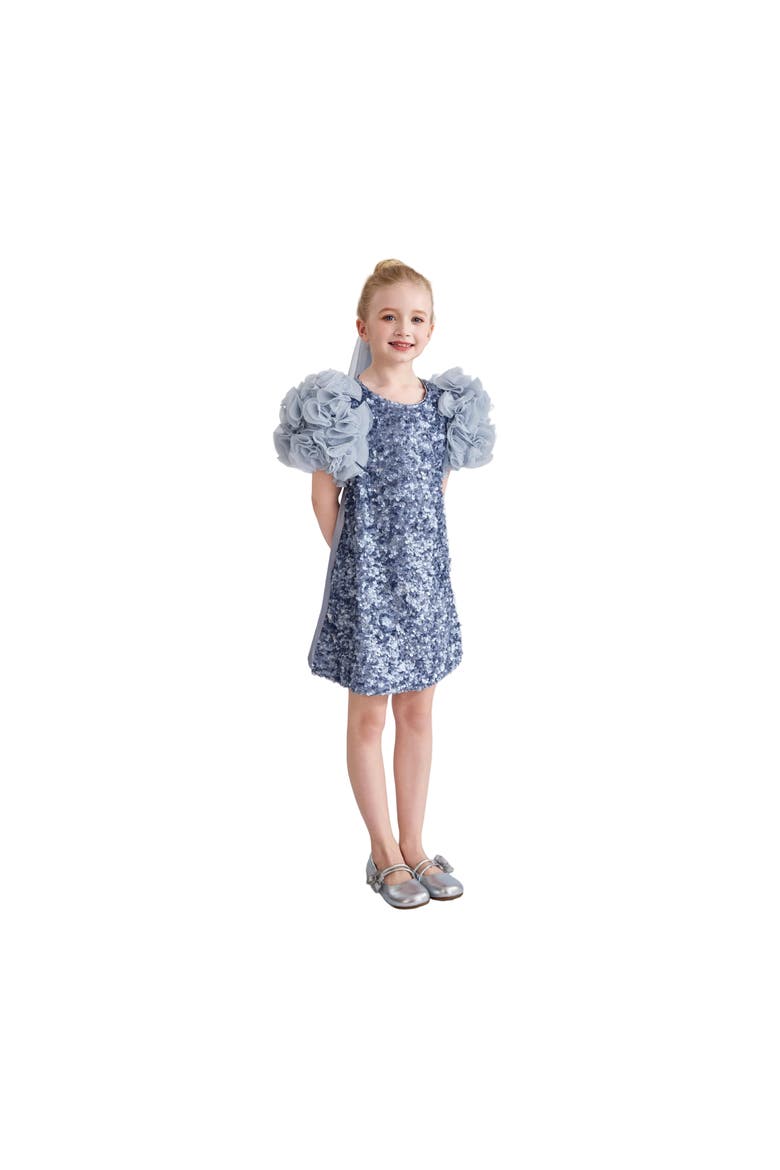Seliora Floral Embellished Dress, Alternate, color, Blue