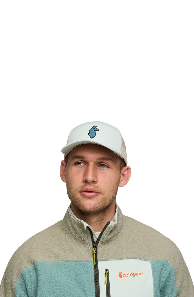 Cotopaxi Llama Trucker Hat, Alternate, color, Foam