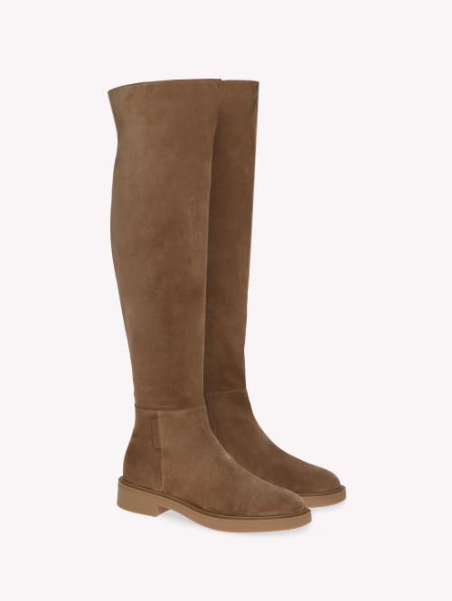 Gianvito Rossi Suede Over-the-knee Boots In Brown
