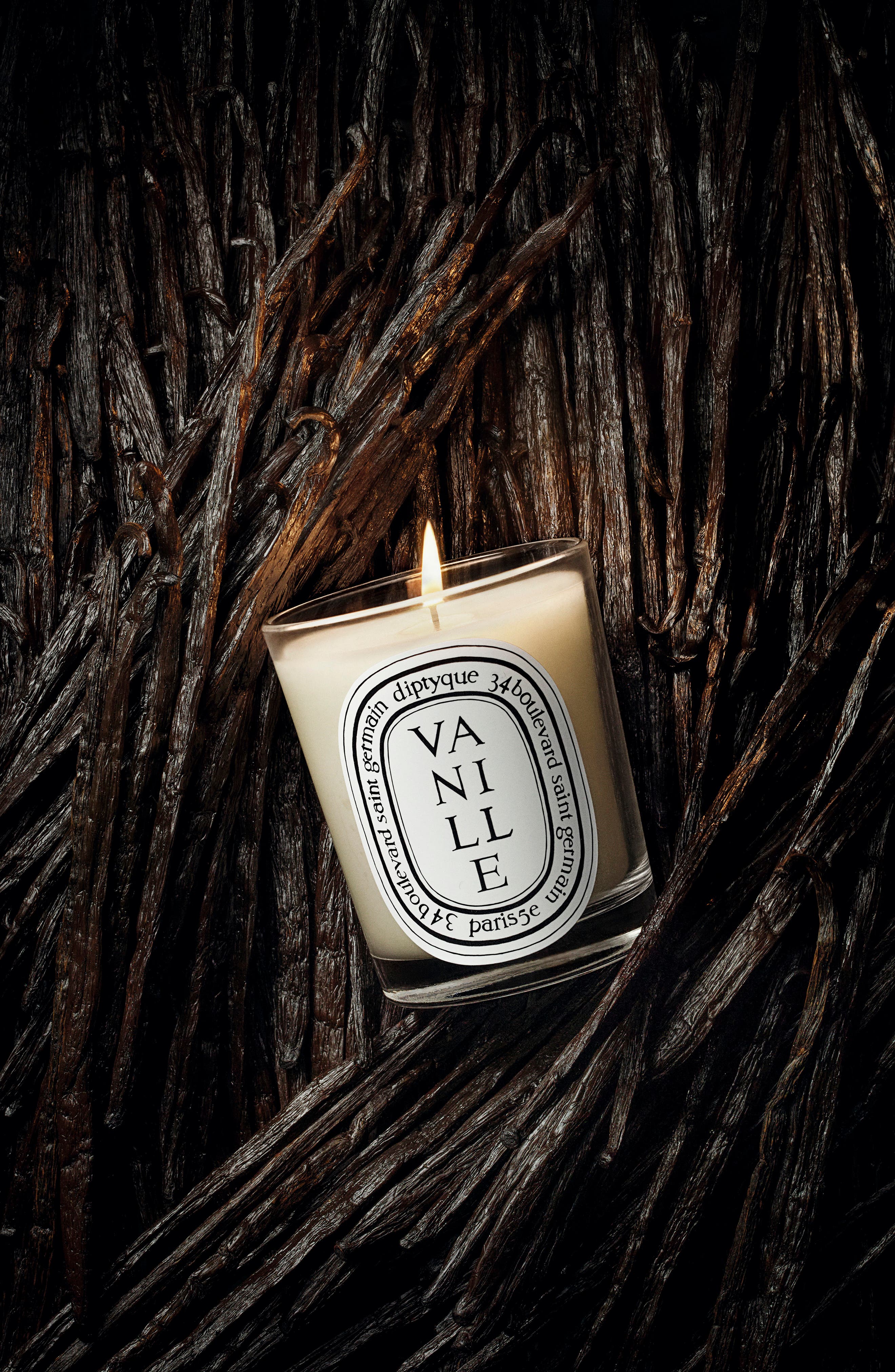 Diptyque Vanille Scented Candle - Thumbnail 3