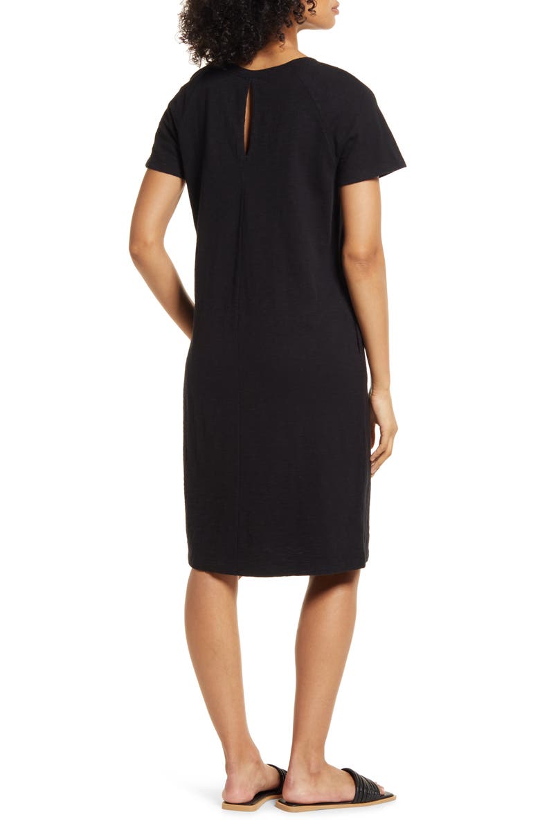 Caslon<sup>®</sup> Raglan T-Shirt Dress, Alternate, color, 