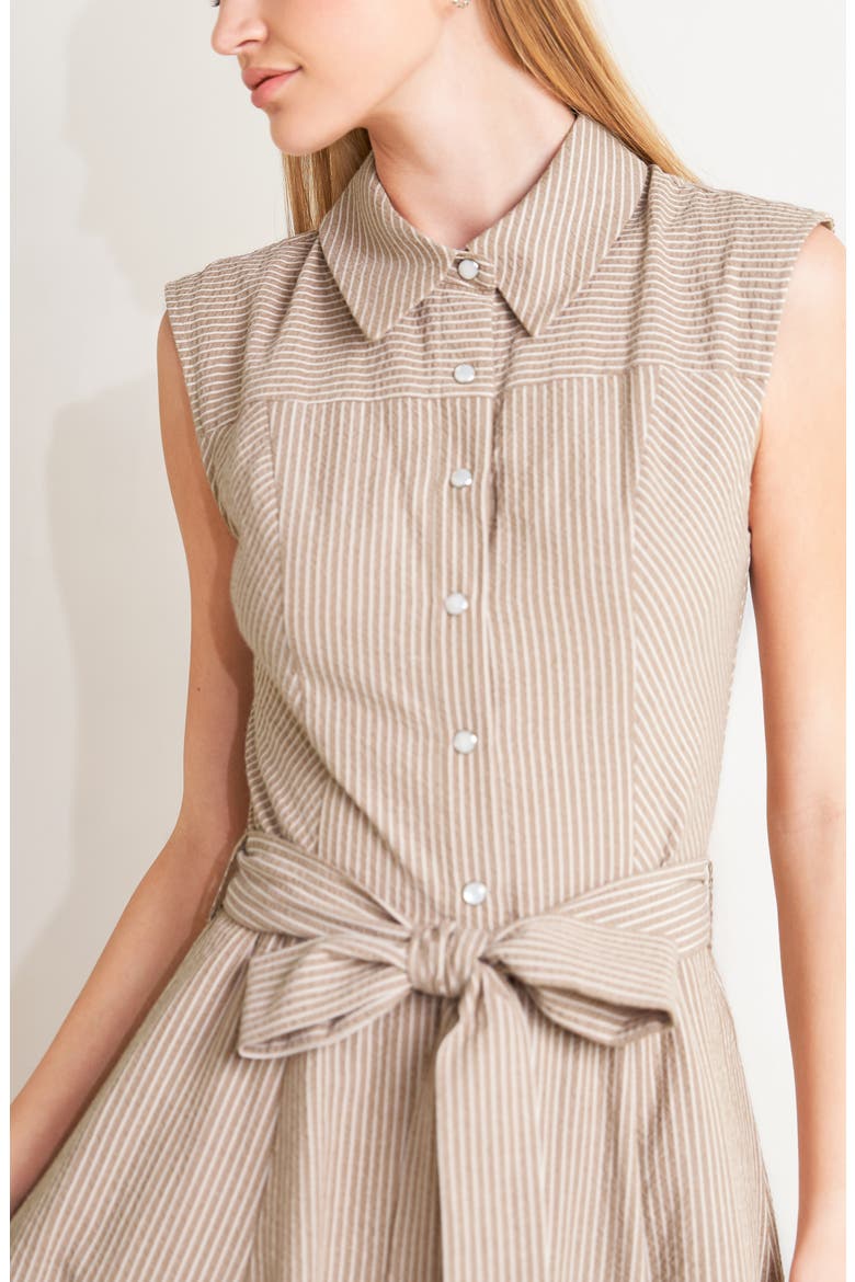 Pinstripe Midi Dress, Alternate, color, TAUPE
