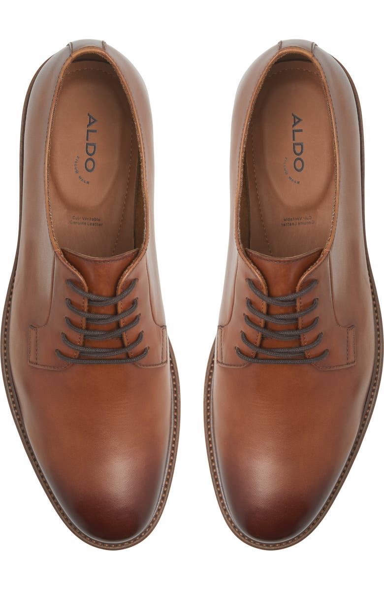 ALDO Ferguson Derby, Alternate, color,