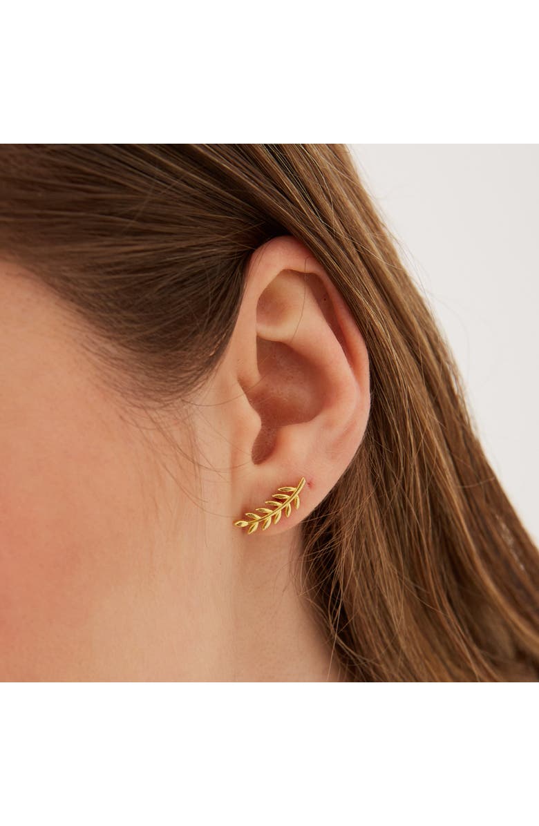 Spero London Wheat Earrings Ear Of Wheat Sterling Silver Stud Earring, Alternate, color, Gold