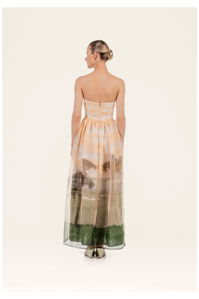Tonia Paraiso Maxi Dress, Alternate, color, Orange