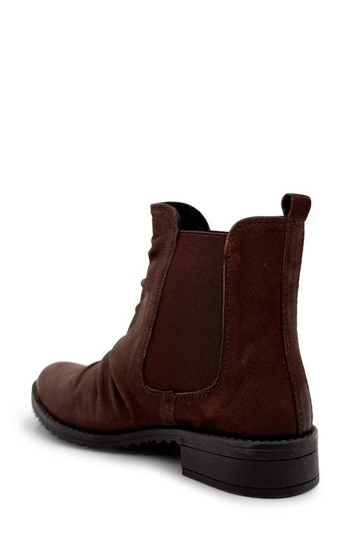 Chelsea Crew Trail Chelsea Boot In Brown