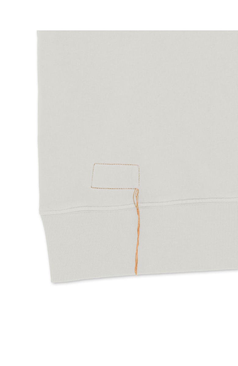 Fortela Harvard Brushed Jersey Raglan Sleeve Sweatshirt, Alternate, color, Ice