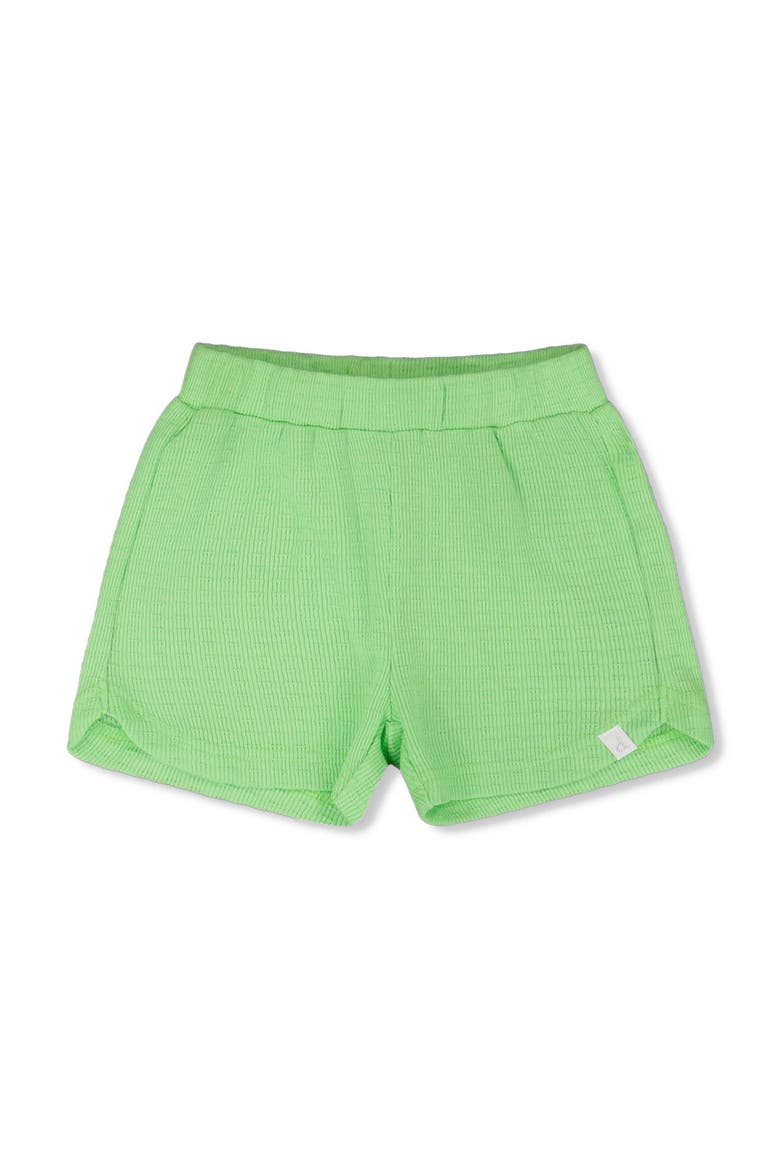 Crinkle Jersey Elastic Waist Shorts, Main, color, Mint Green
