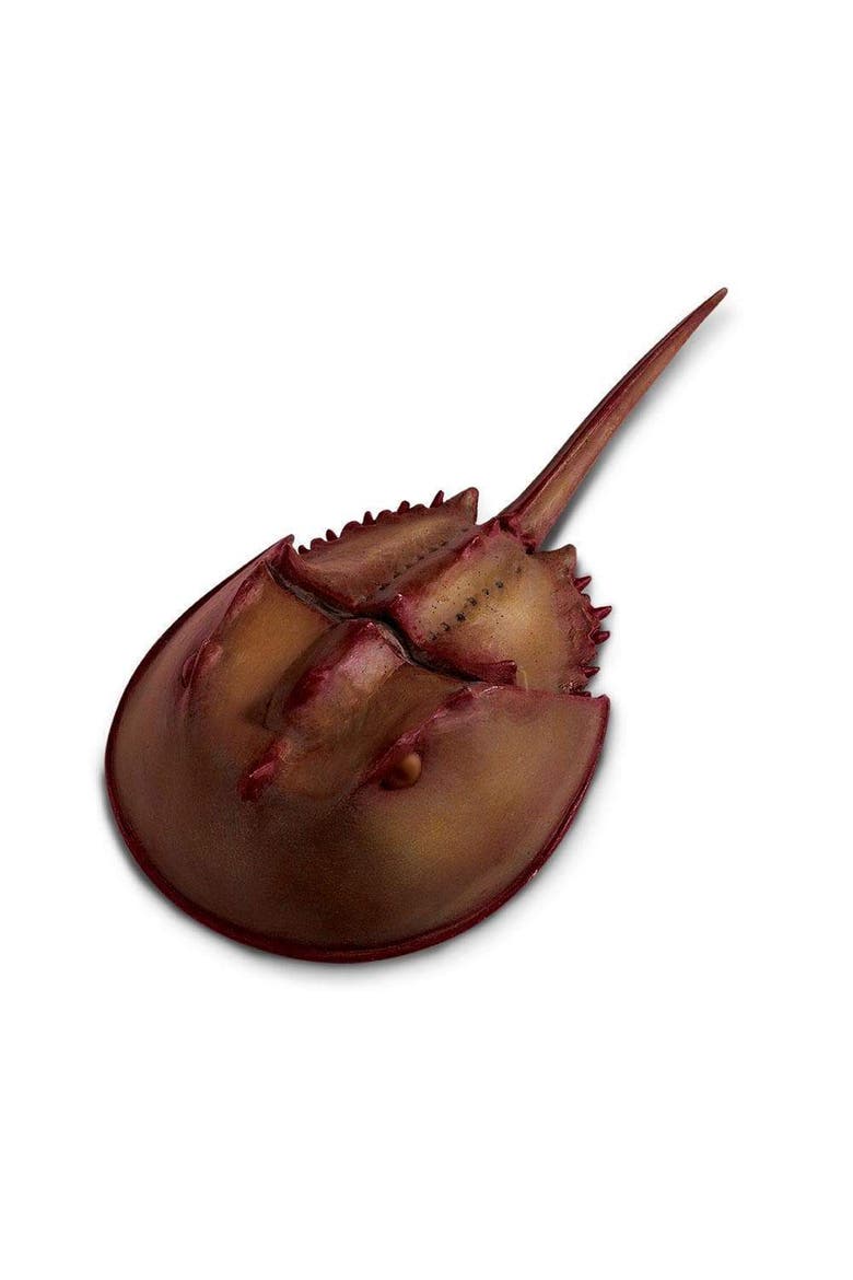 Horseshoe Crab Toy, Main, color, No Color