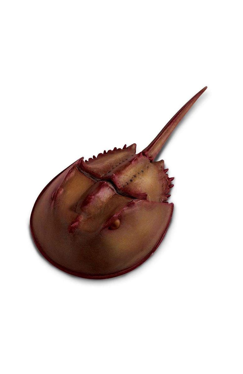 Safari Ltd. Horseshoe Crab Toy, Main, color, NO COLOR