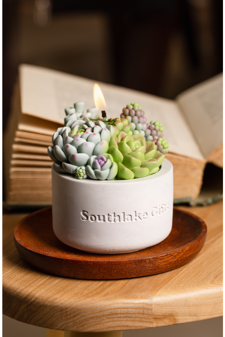 Succulent Candle in Concrete Vessel, Alternate, color, Jade / Lilac / Sage