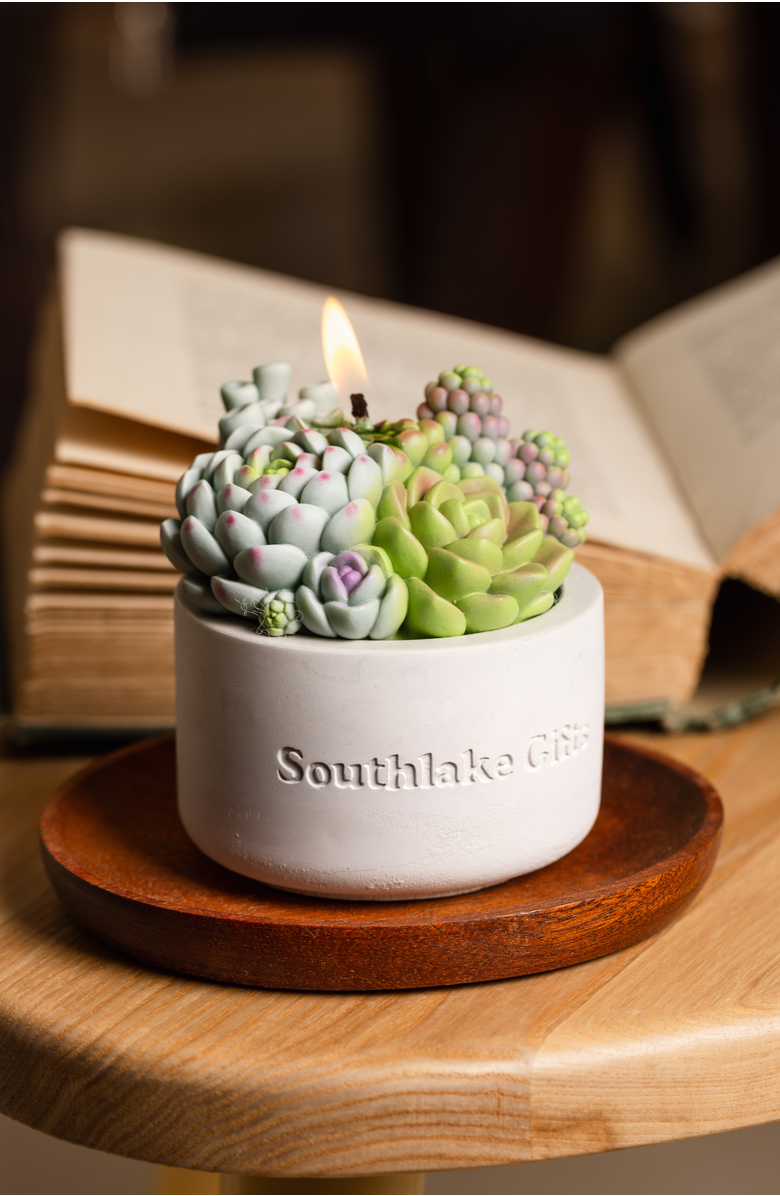 Southlake gifts Succulent Candle in Concrete Vessel, Alternate, color, Jade / Lilac / Sage