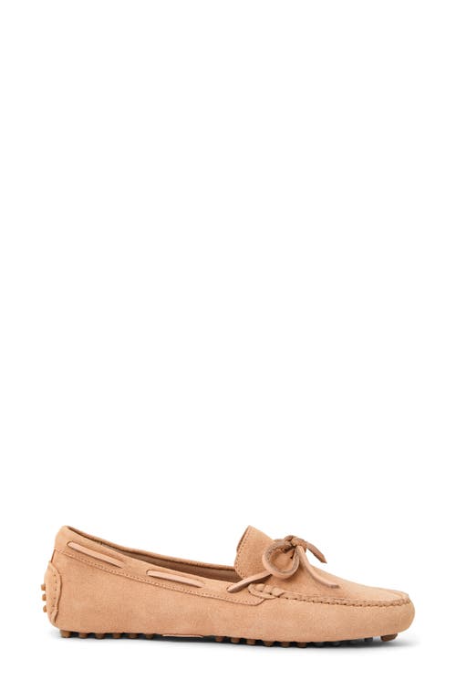 Jack Rogers Shore Driving Loafer In Toast