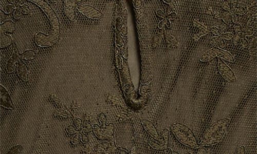 Zimmermann Memento Long Sleeve Lace Maxi Dress In Brown