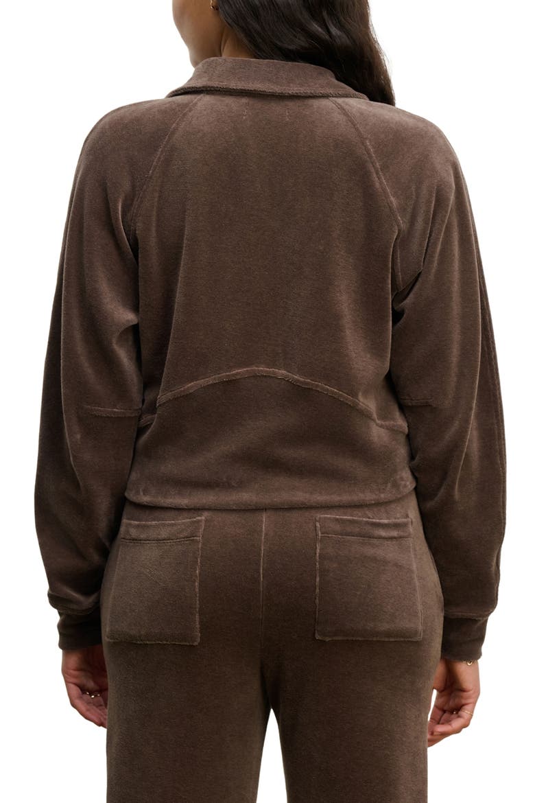 Velour Full Zip Jacket, Alternate, color, CHOCOLATE BROWN