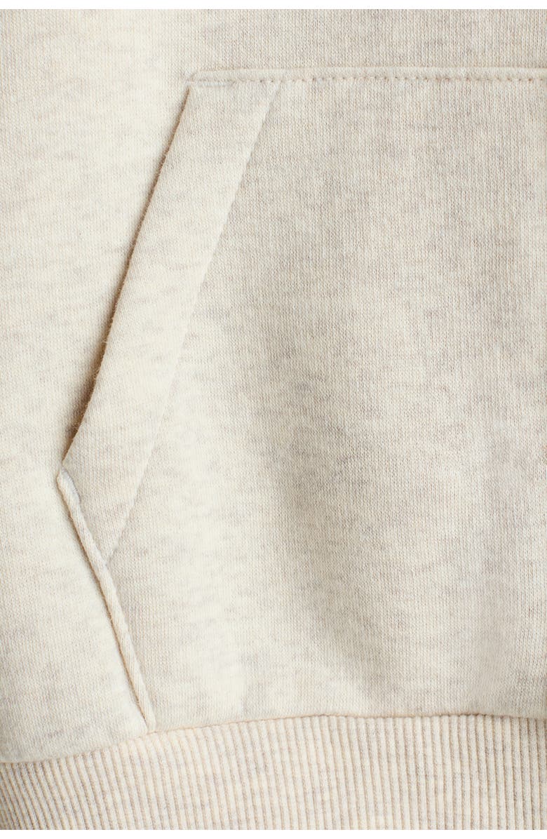 H&M Oversized Zip-through Hoodie, Alternate, color, Light Beige Melange