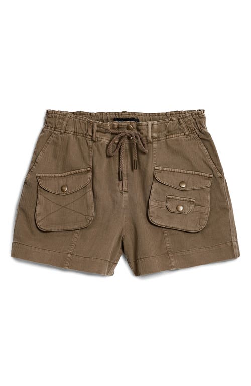 Desigual Cotton Cargo Shorts In Brown