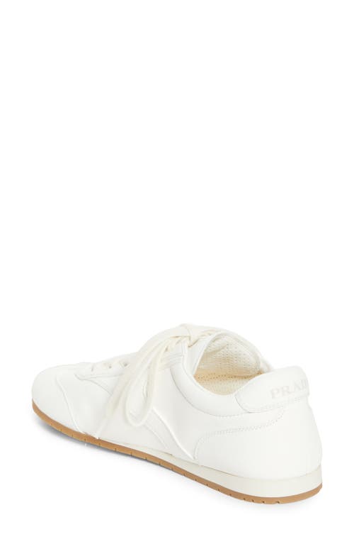 Prada Low Top Sneaker In White