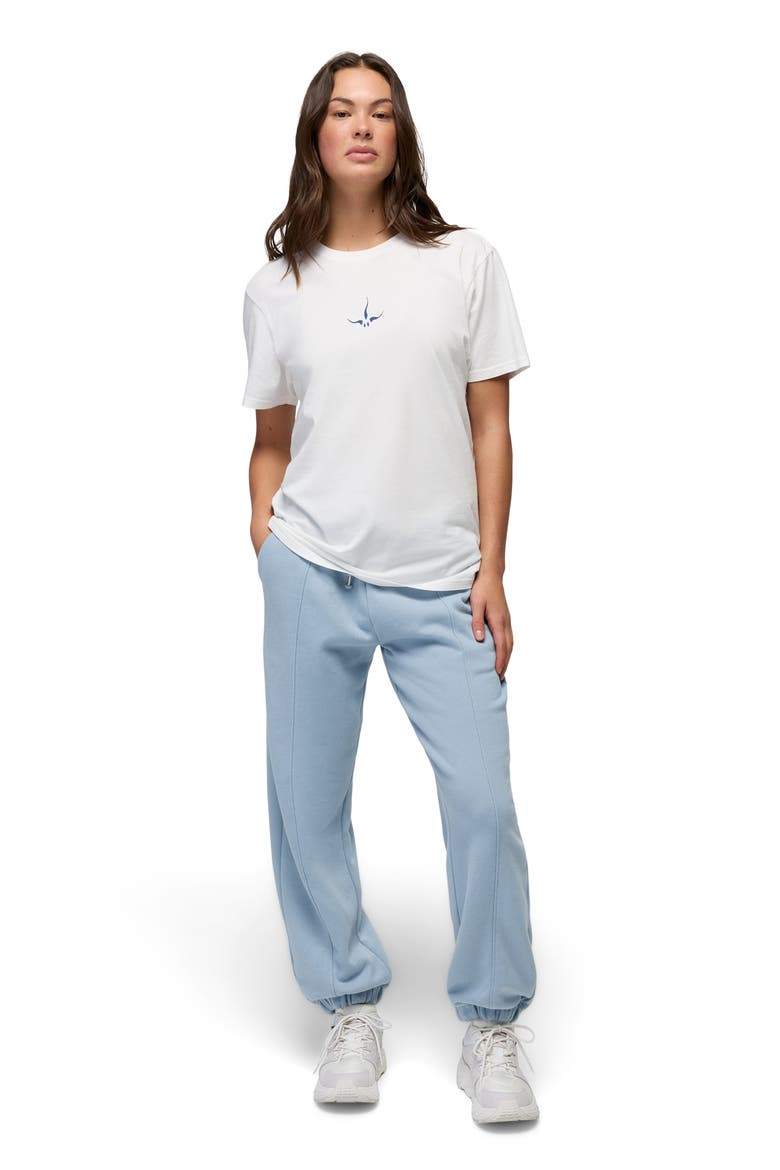 Dreamfleece Sweatpants, Alternate, color, GLACIER SKIES