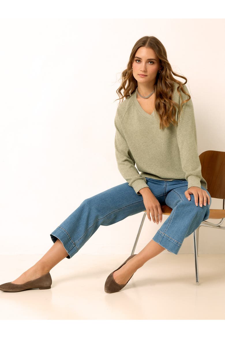 Classic Ribbed V-Neck Sweater, Alternate, color, Macaroon