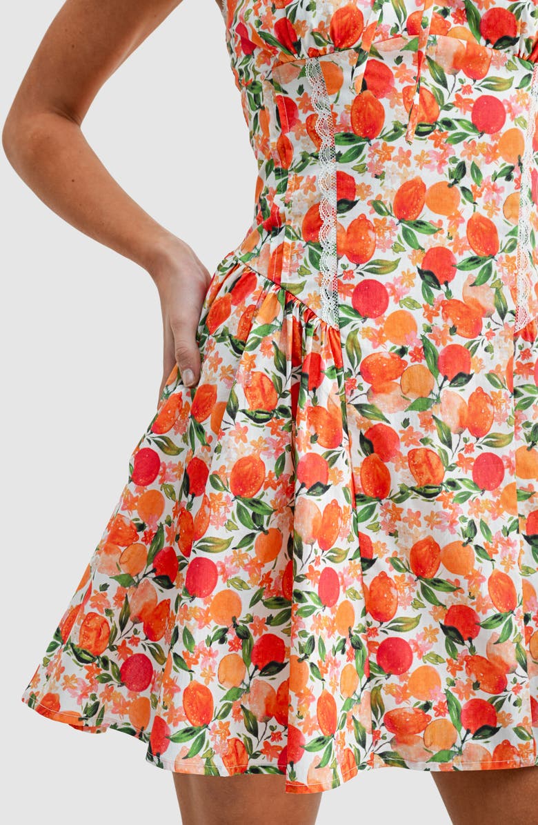 All in Favor Tangerine Print Lace Detail Fit & Flare Cotton Minidress, Alternate, color, Tangerine