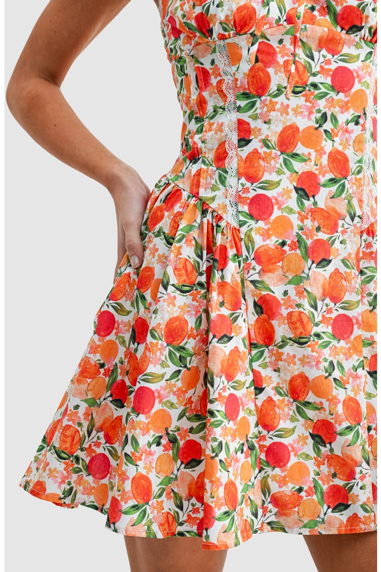 tangerine lace dress Tangerine Lace Hem Sleeveless Mini Dress